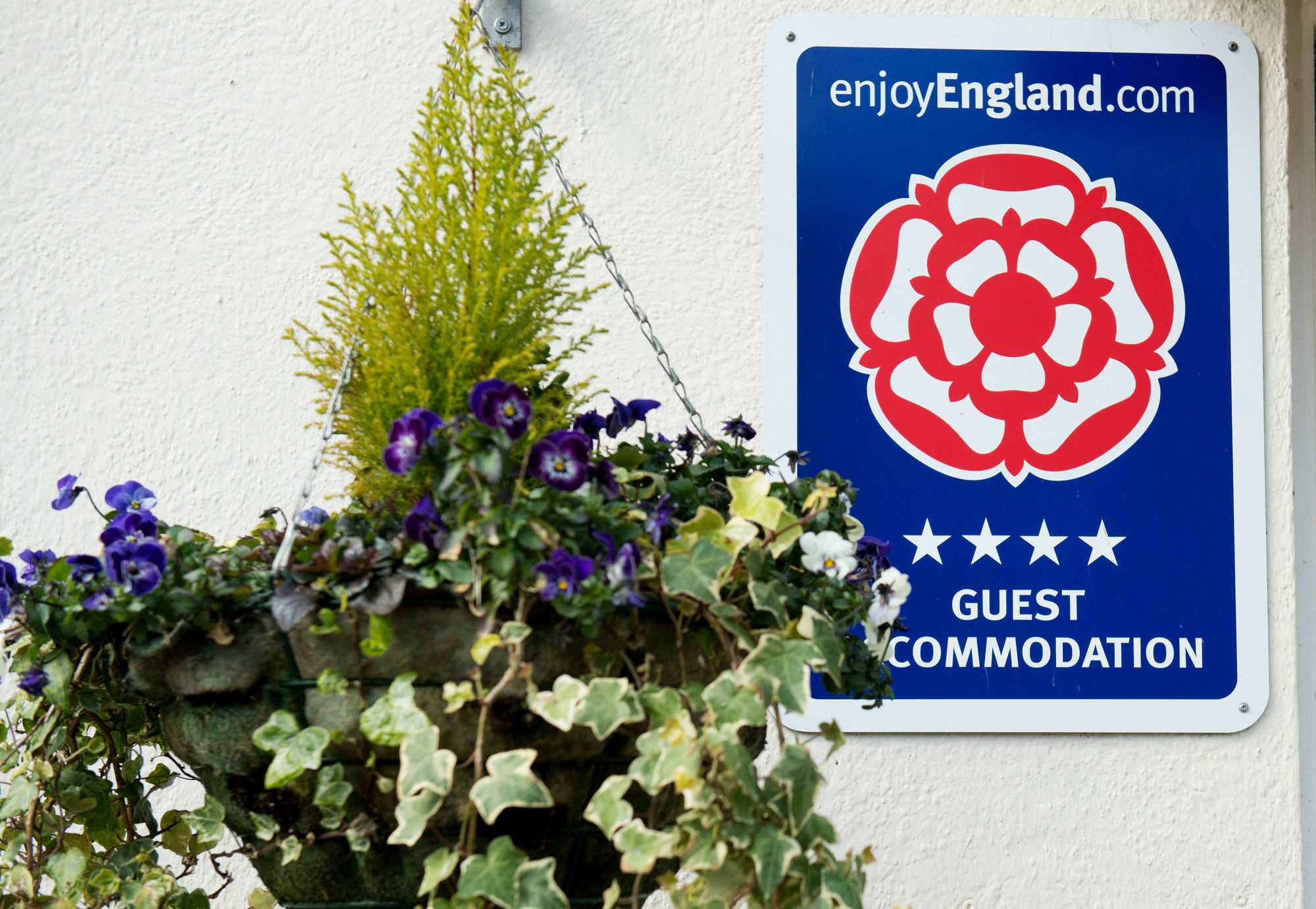 Blue Waters Lodge Paignton Esterno foto
